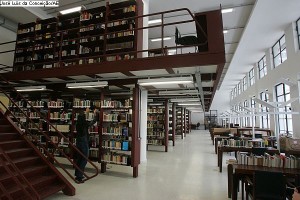 As Bibliotecas No Brasil E A Leitura - Colégio Web