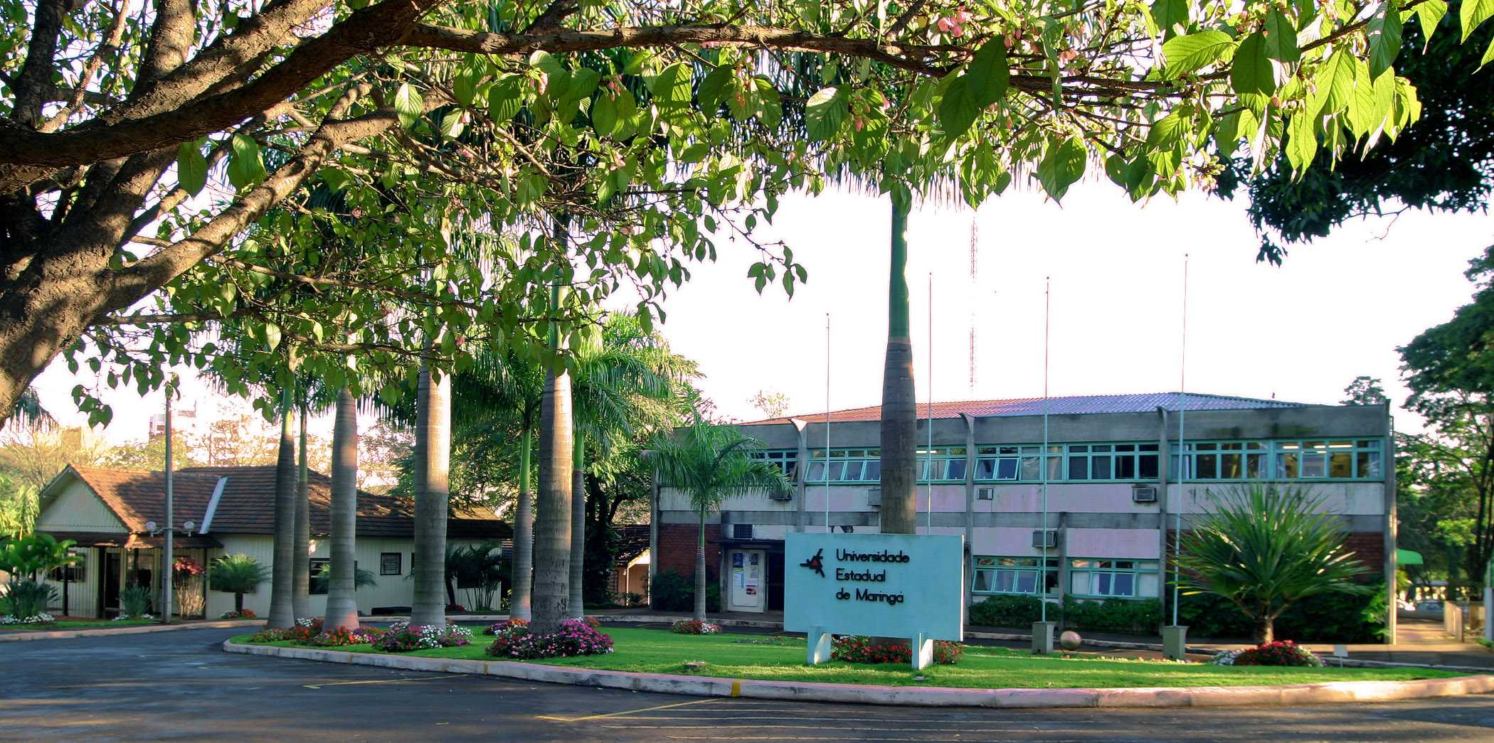 Aprovado cotas para negros nos Vestibulares da Universidade Estadual de Maringá